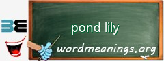 WordMeaning blackboard for pond lily